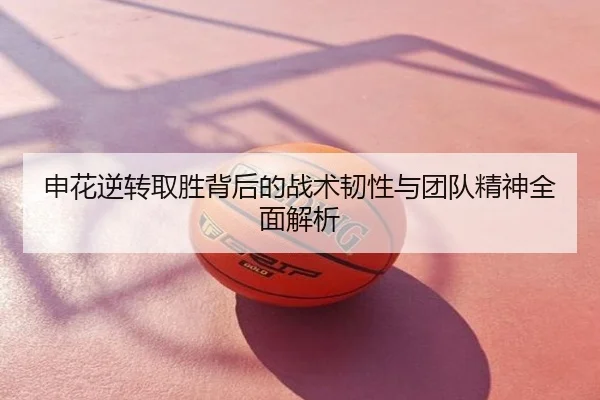 申花逆转取胜背后的战术韧性与团队精神全面解析