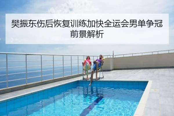 樊振东伤后恢复训练加快全运会男单争冠前景解析