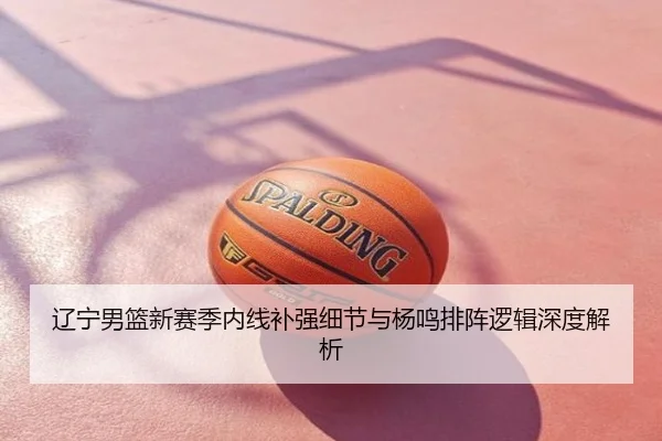 辽宁男篮新赛季内线补强细节与杨鸣排阵逻辑深度解析